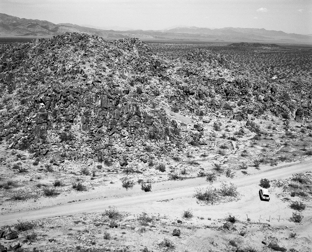 Joshua Tree Triptych Middle Panel