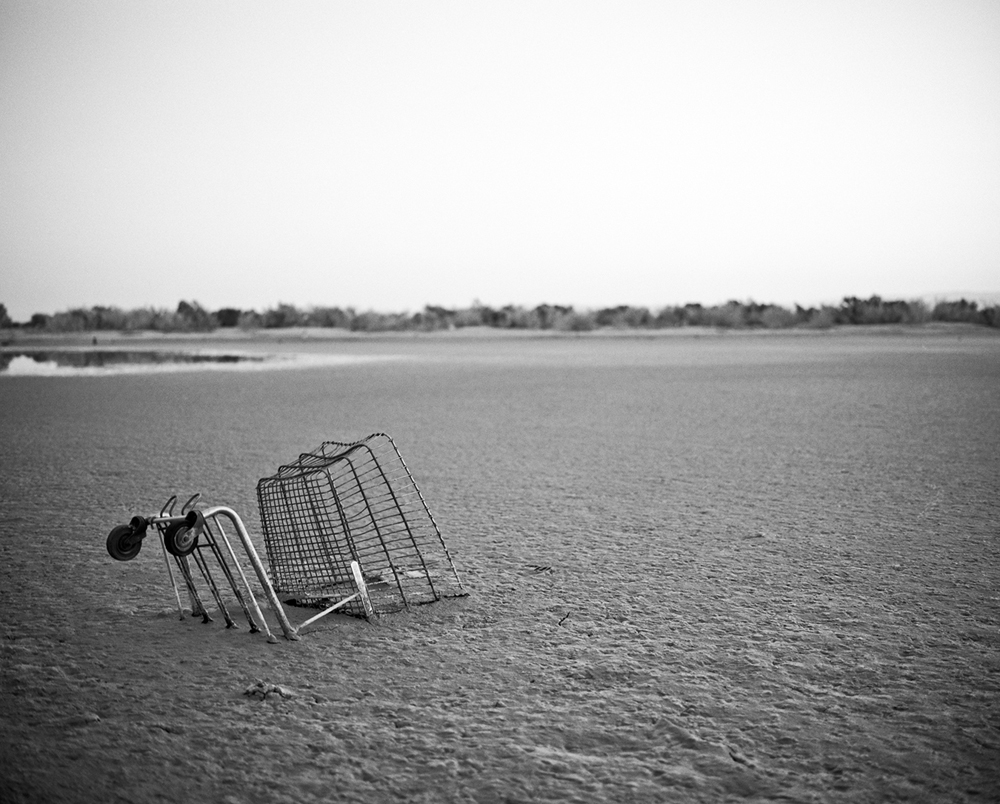 Salton Sea Shopping Cart